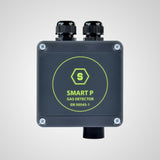 Smart P1 sensor from Crowcon can detect carbon monoxide as well as Sulphur oxide. 
